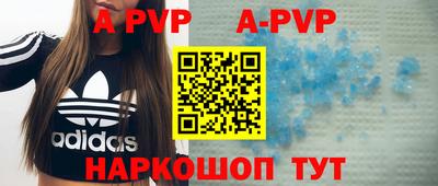 дурь Кингисепп