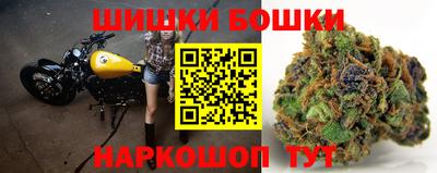 дурь Кингисепп