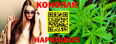 крисы Кимры