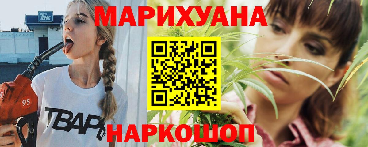 Каннабис сатива Арсеньев